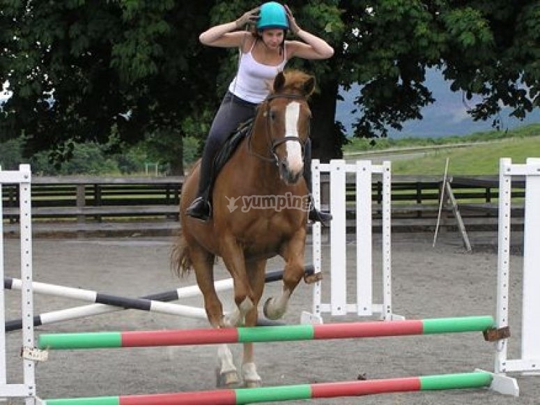 Making Strides, prices and reservations 2023